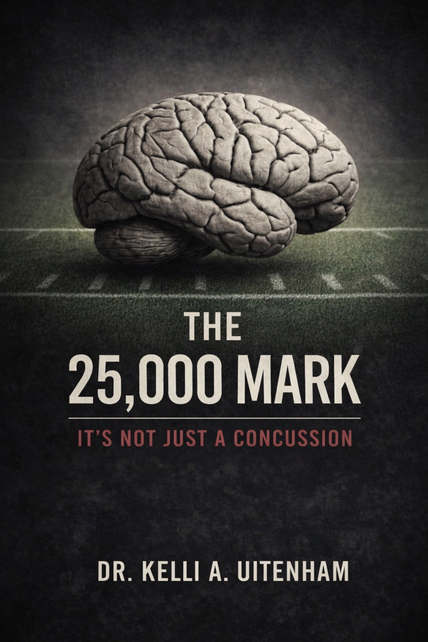 The 25,000 Mark: Not Just A Concussion eBook